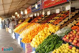قیمت جدید پرتقال و سیب برای نوروز ۱۴۰۵ اعلام شد