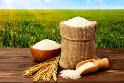 پیش‌بینی مهم از آینده قیمت برنج / ارزانی در راه است؟