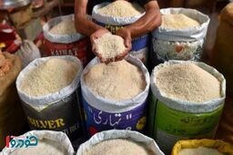 برنج پاکستانی درجه یک کیلویی چند شد؟ + جدول قیمت ۳۰ اردیبهشت ۱۴۰۵