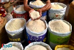قانون جدیدی که قیمت برنج را تغییر می‌دهد