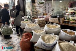 توزیع  ۵۰۰۰ تن برنج دولتی در بازار شب عید تهران! / پاکستانی ۱۵۱ هزار تومان و هندی ۱۶۱ هزار تومان + آدرس مراکز توزیع