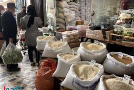 برنج ایرانی با قیمت جدید به بازار رسید + لیست خرداد ۱۴۰۵