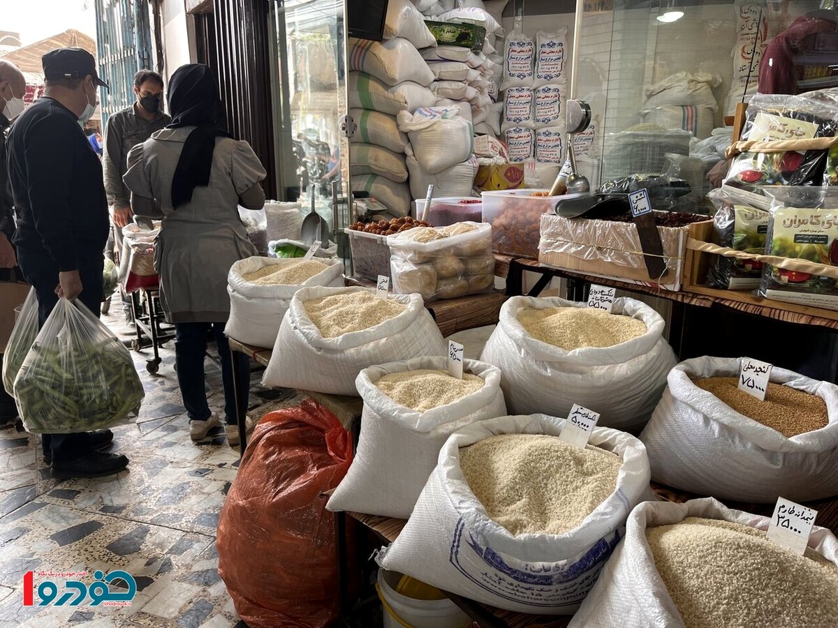 محل عرضه برنج ارزان ۱۶۱ هزار تومانی + شرایط خرید با کالابرگ
