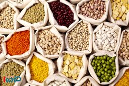 تغییر اساسی قیمت حبوبات