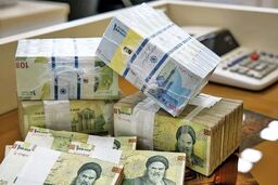 وام جدید دولت برای این افراد + شرایط