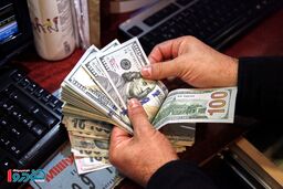 وقتی پهن الاغ از دلار سبقت می گیرد!