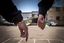 بدهکار بزرگ بانکی دستگیر شد + جزئیات