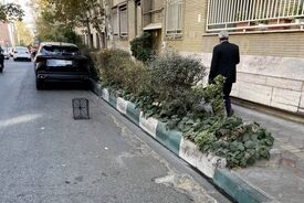 رونمایی از یک شغل جدید در ایران / رزرو جای پارک با سبد!